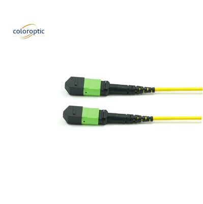 Corde di patch in singolo modo ottico passivo MPO-12 / APC-to-MPO12 / APC