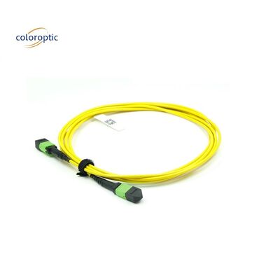 OM3 MPO Patch Cord 12 Core Aqua Fiber Optic Connector per una rete efficiente