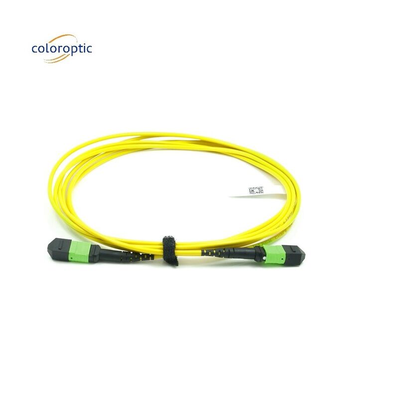 Corde di patch in singolo modo ottico passivo MPO-12 / APC-to-MPO12 / APC