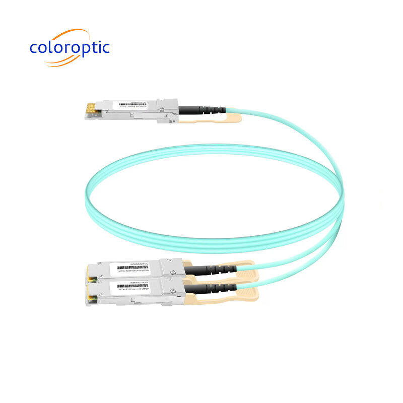 3m AOC DAC Cable 10Gbps 800G OSFP a 2*400G QSFP112 collegamenti